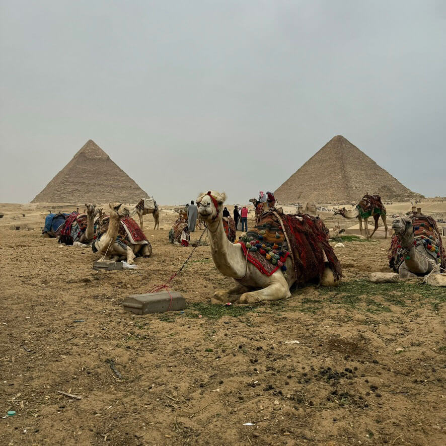 Pyramídy v Gize a ťavičky, Egypt