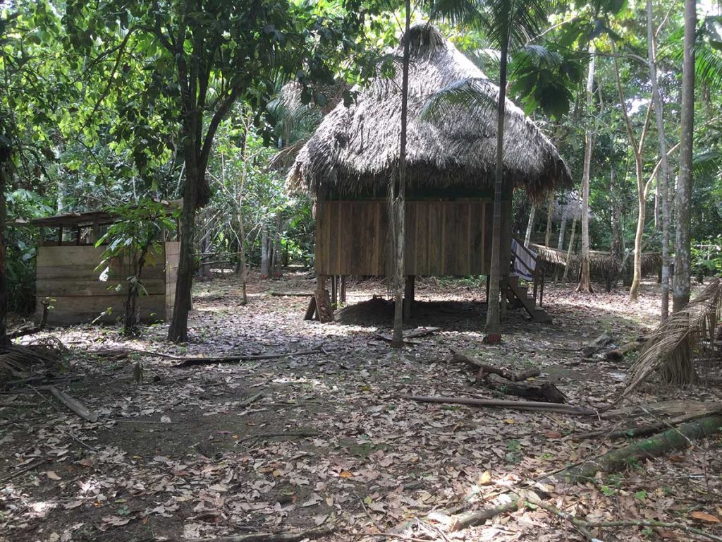 Peru Iquitos #4