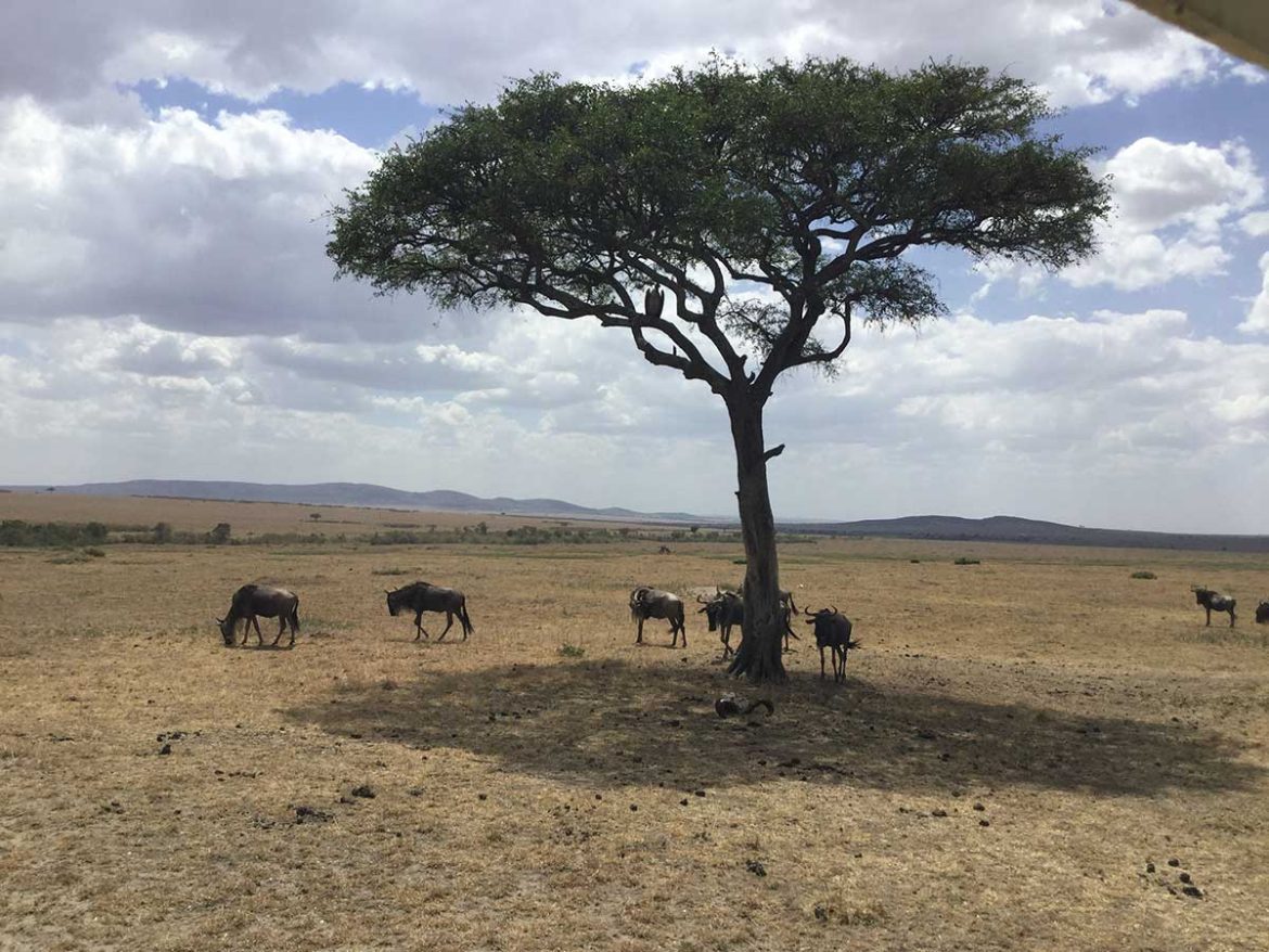 Keňa - prípravy pred odletom #1