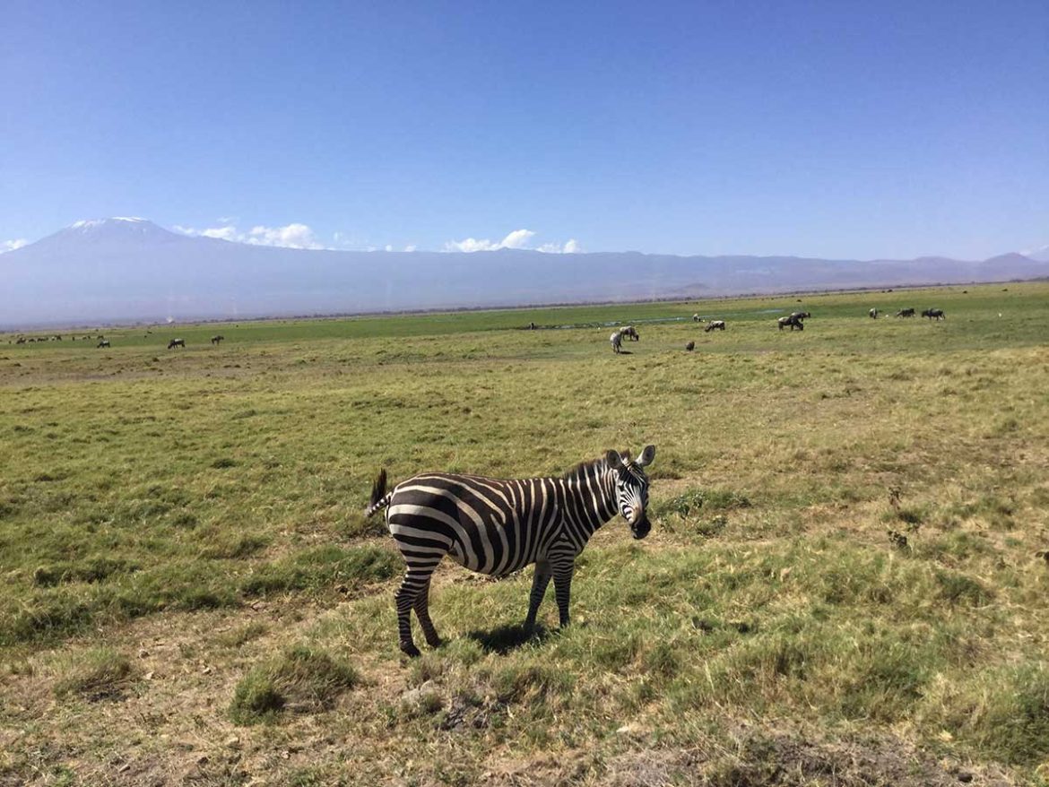 Keňa - korupcia v raji #2