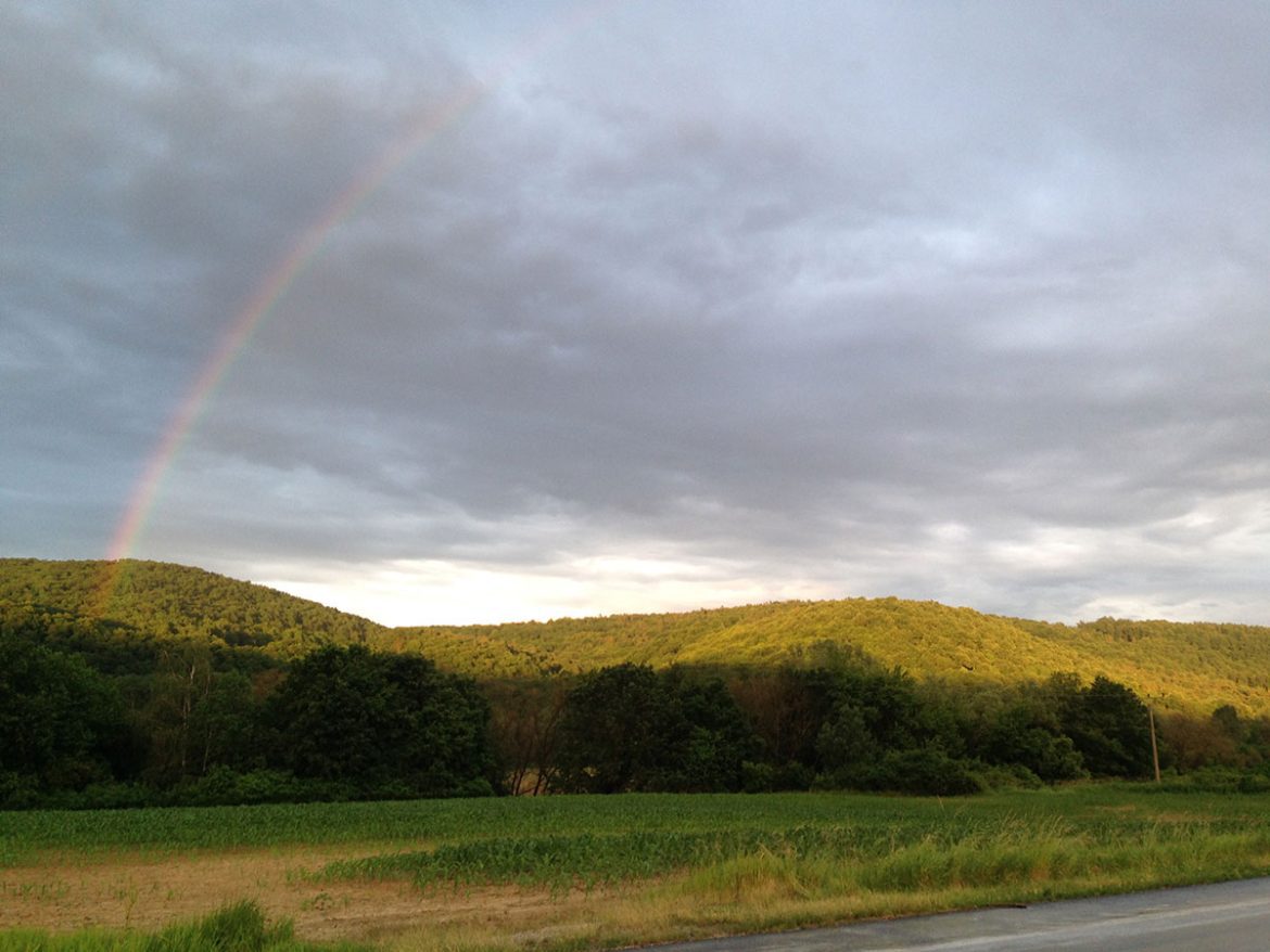 Ayahuasca - nič už nebude ako predtým #3