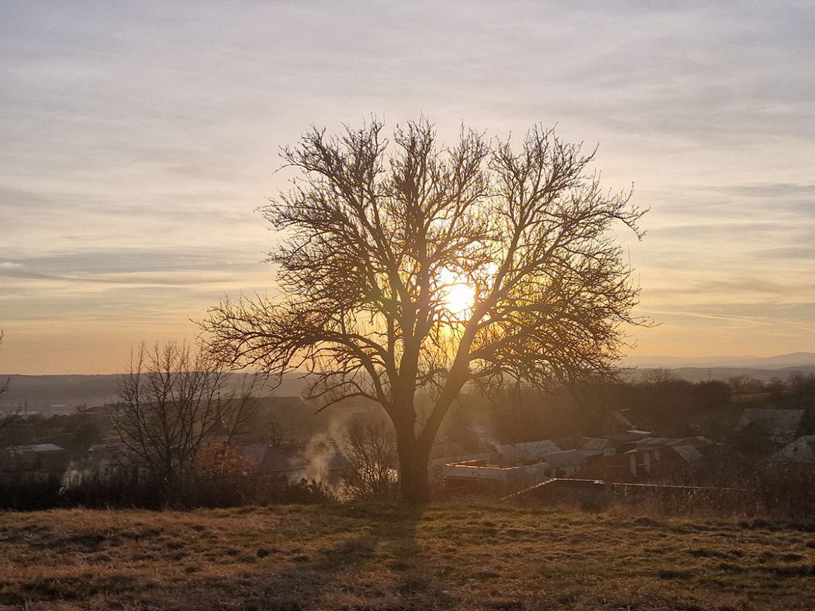 Sebaláska a sebavedomie - cesta k sebe